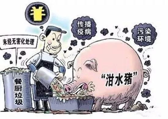 15468470724115.jpg 2.jpg